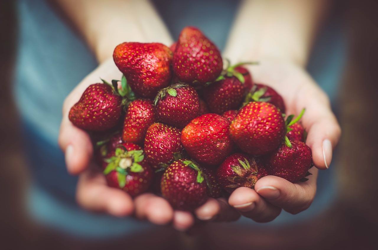 Harvest Time Farms - Strawberry Upick