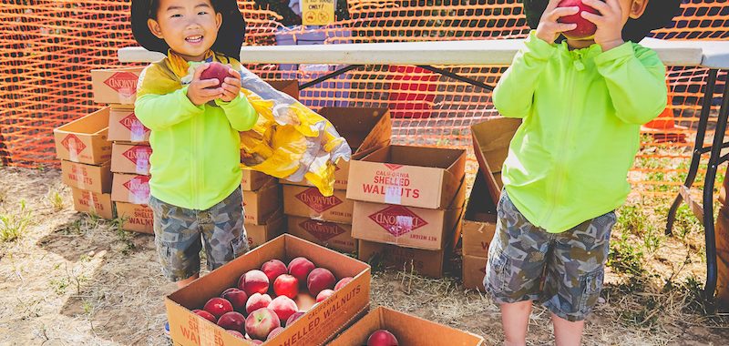 Harvest Time Brentwood