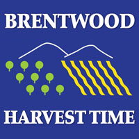 Harvest Time in Brentwood