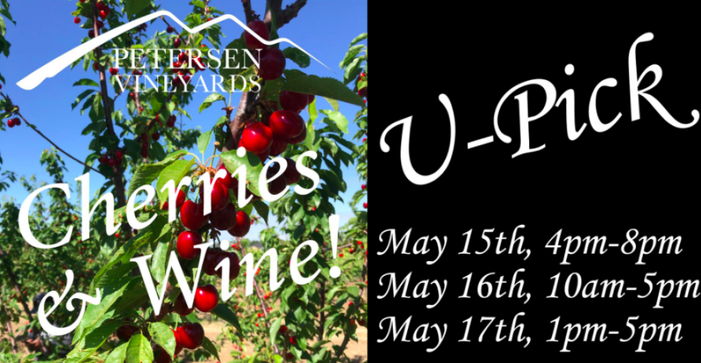 Cherry Upick is OPEN May 14th May 17th Harvest Time in Brentwood