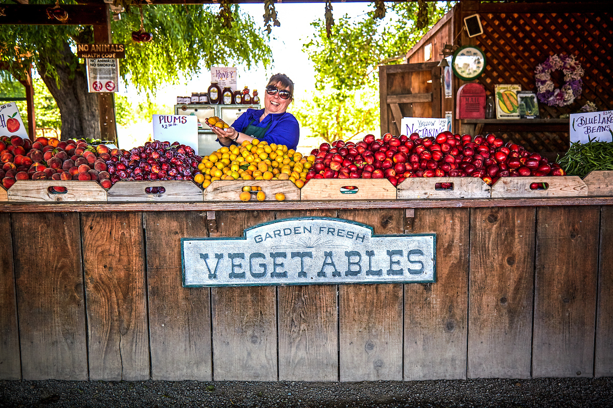 Harvest Time Farm Stands