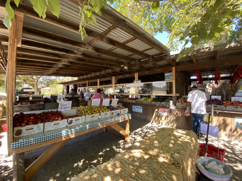 Farm Stands Harvest Time in Brentwood