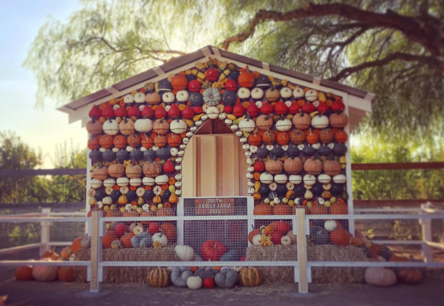 Smith Family Farm Fall