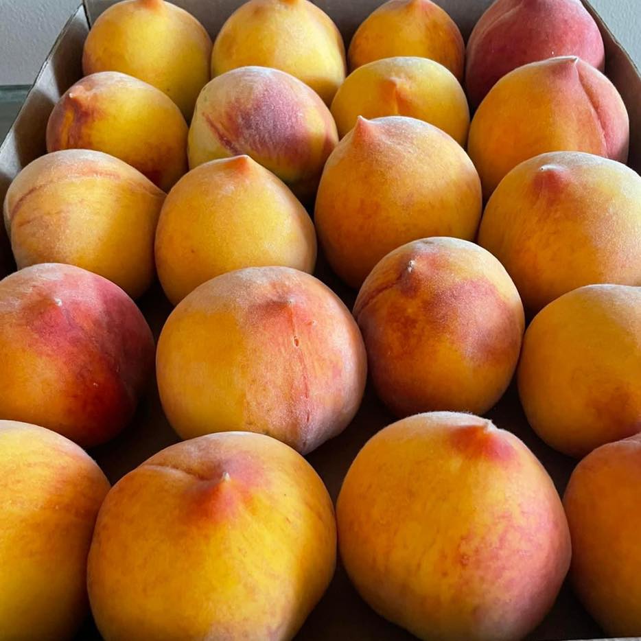 O'Henry Peaches Information and Facts