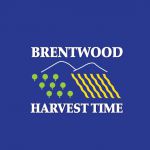 Harvest Time in Brentwood